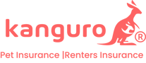 Kanguro Logo