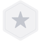 Silver-Icon